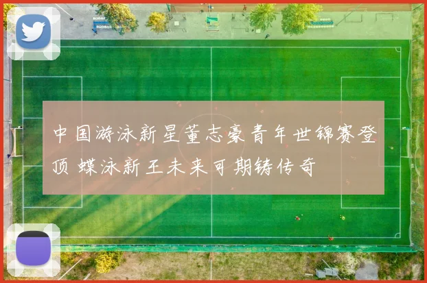中国游泳新星董志豪青年世锦赛登顶 蝶泳新王未来可期铸传奇