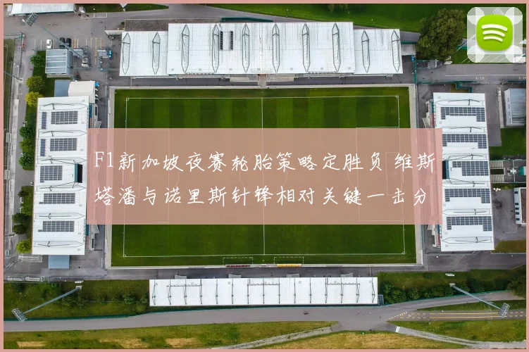 F1新加坡夜赛轮胎策略定胜负 维斯塔潘与诺里斯针锋相对关键一击分高下
