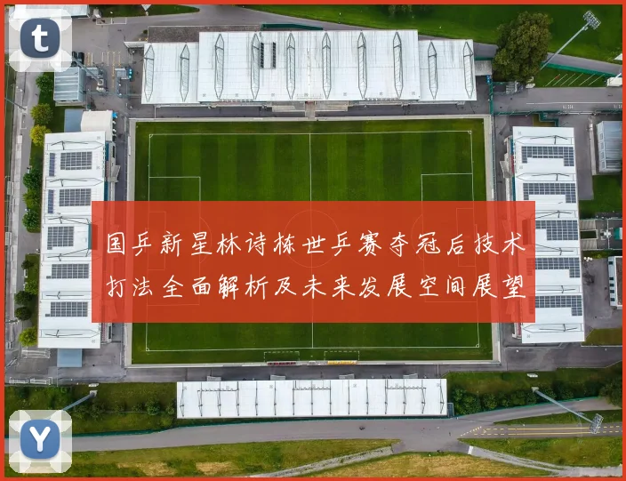 国乒新星林诗栋世乒赛夺冠后技术打法全面解析及未来发展空间展望