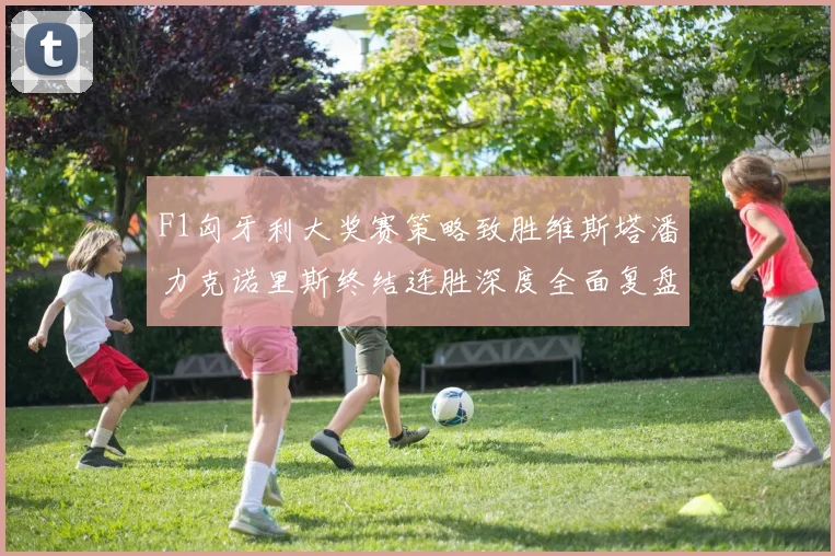 F1匈牙利大奖赛策略致胜维斯塔潘力克诺里斯终结连胜深度全面复盘